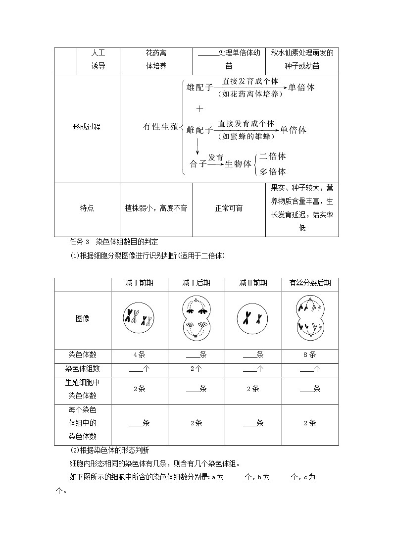 新教材高考生物一轮复习第三单元生物的变异育种与进化2染色体变异与育种学案必修2第2页