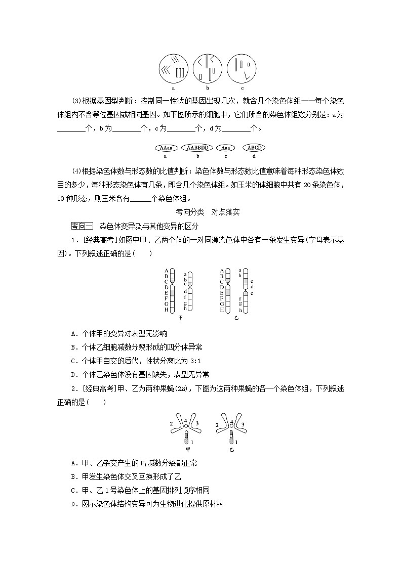 新教材高考生物一轮复习第三单元生物的变异育种与进化2染色体变异与育种学案必修2第3页