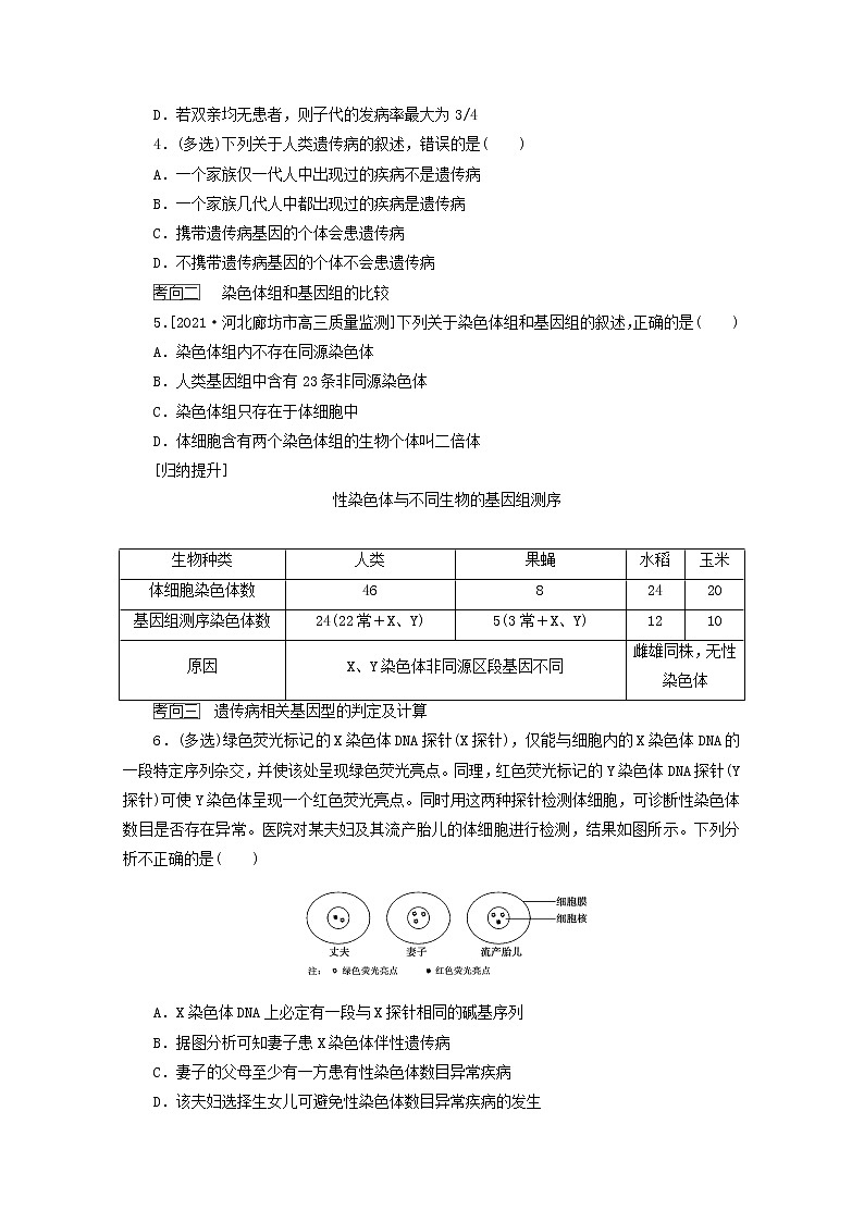 新教材高考生物一轮复习第三单元生物的变异育种与进化3人类遗传病学案必修2第3页
