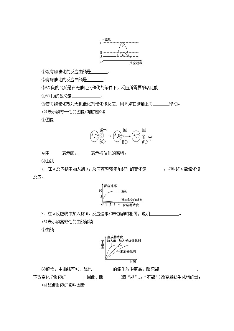 新教材高考生物一轮复习第三单元细胞的能量供应和利用1酶与ATP学案必修1第2页