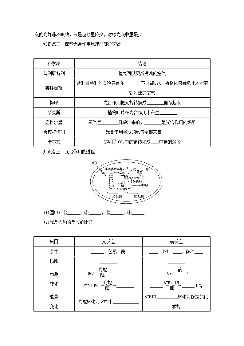 新教材高考生物一轮复习第三单元细胞的能量供应和利用3能量之源__光与光合作用课前学案必修102