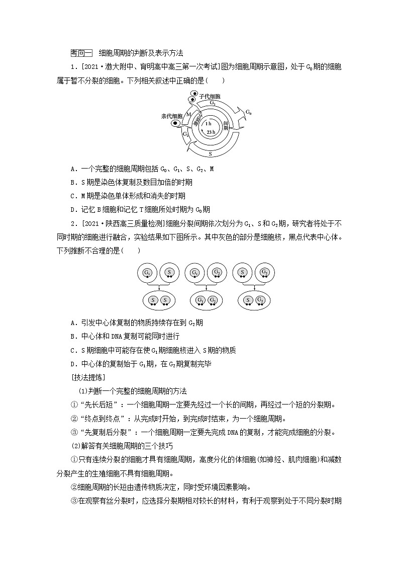 新教材高考生物一轮复习第四单元细胞的生命历程1细胞周期和细胞的有丝分裂学案必修103