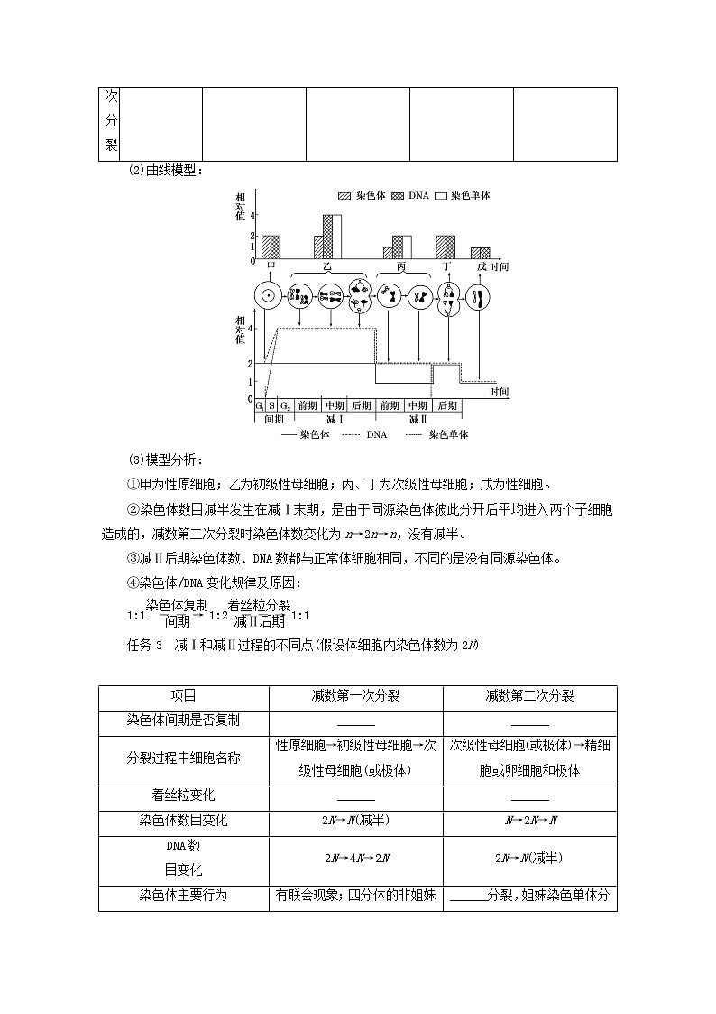 新教材高考生物一轮复习第四单元细胞的生命历程2减数分裂和受精作用学案必修1第2页