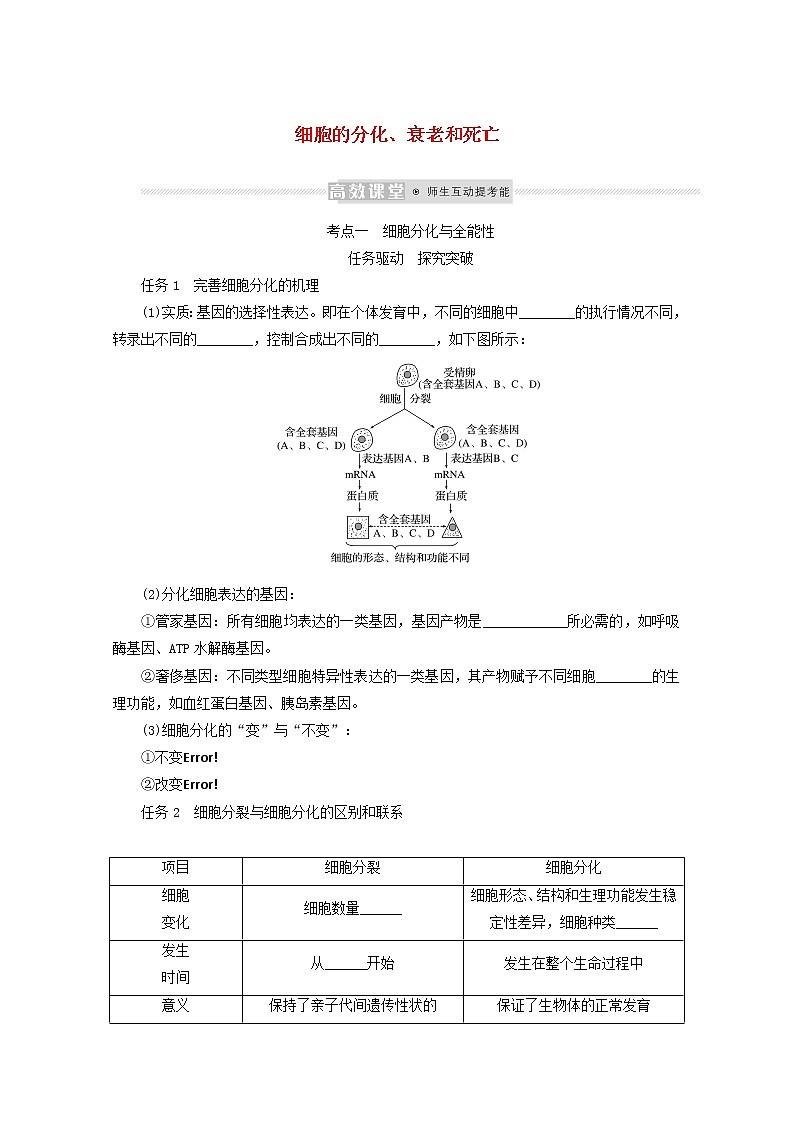 新教材高考生物一轮复习第四单元细胞的生命历程3细胞的分化衰老和死亡学案必修101