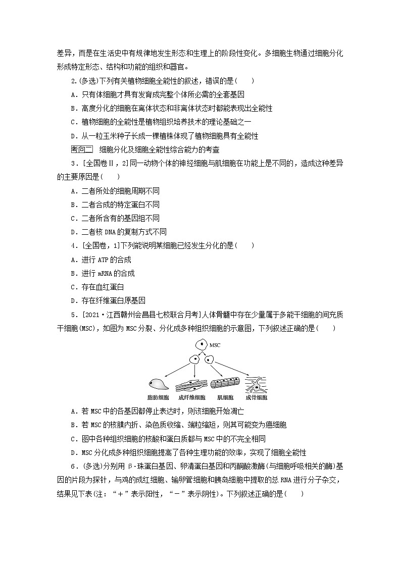 新教材高考生物一轮复习第四单元细胞的生命历程3细胞的分化衰老和死亡学案必修103