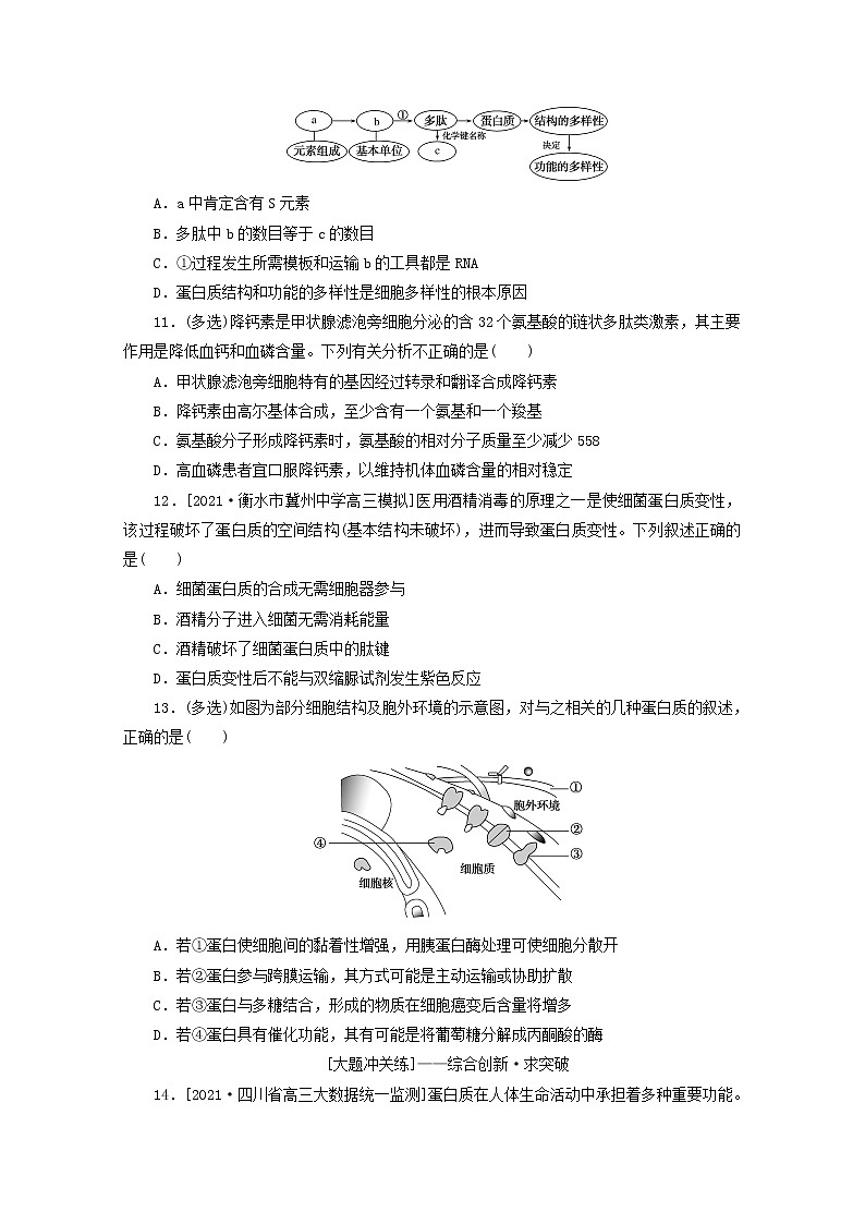 新教材高考生物一轮复习课后检测3生命活动的主要承担者__蛋白质含解析第3页