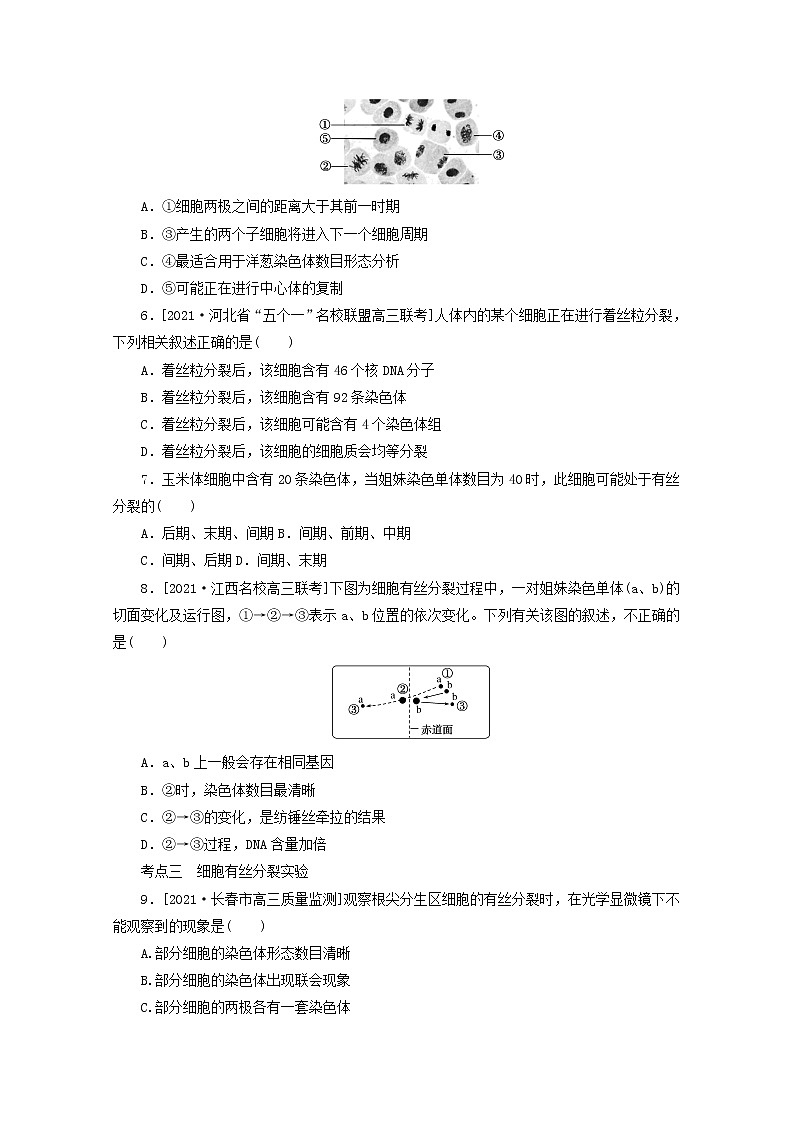 新教材高考生物一轮复习课后检测12细胞周期和细胞的有丝分裂含解析第2页