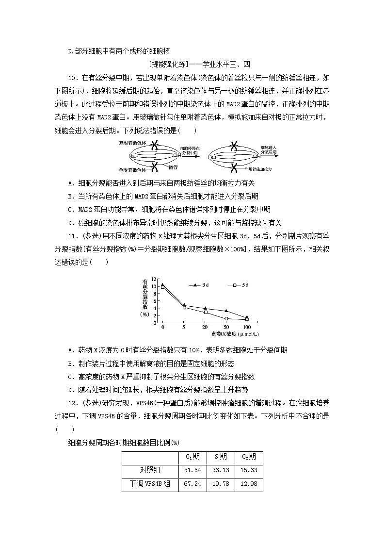 新教材高考生物一轮复习课后检测12细胞周期和细胞的有丝分裂含解析第3页