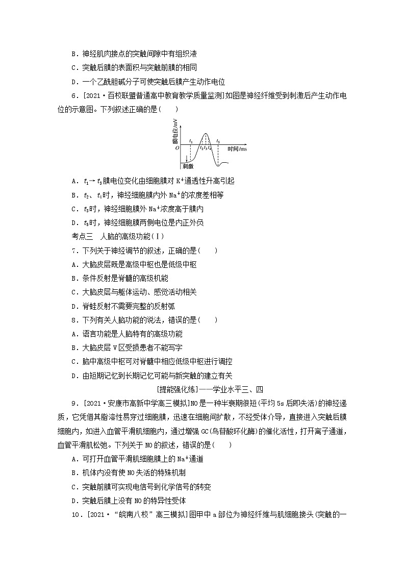 新教材高考生物一轮复习课后检测28人和高等动物的神经调节含解析02