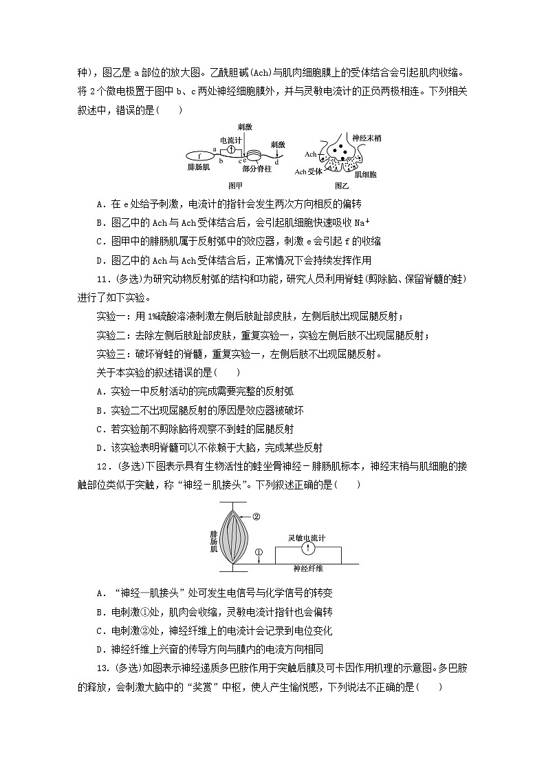 新教材高考生物一轮复习课后检测28人和高等动物的神经调节含解析03