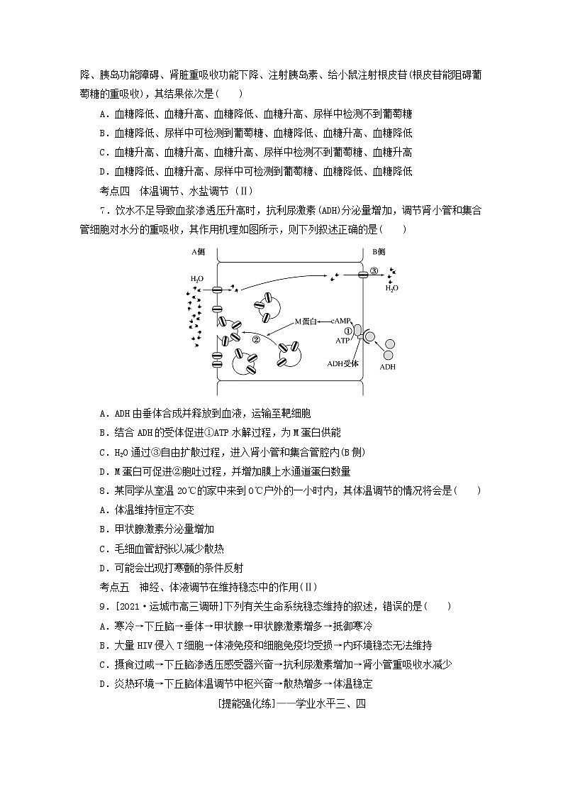 新教材高考生物一轮复习课后检测29通过激素的调节神经调节与激素调节的关系含解析02