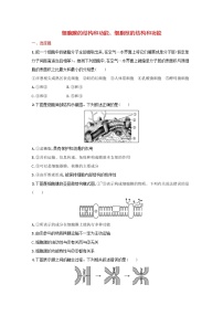 新教材高考生物一轮复习考点规范练5细胞膜的结构和功能细胞核的结构和功能含解析新人教版