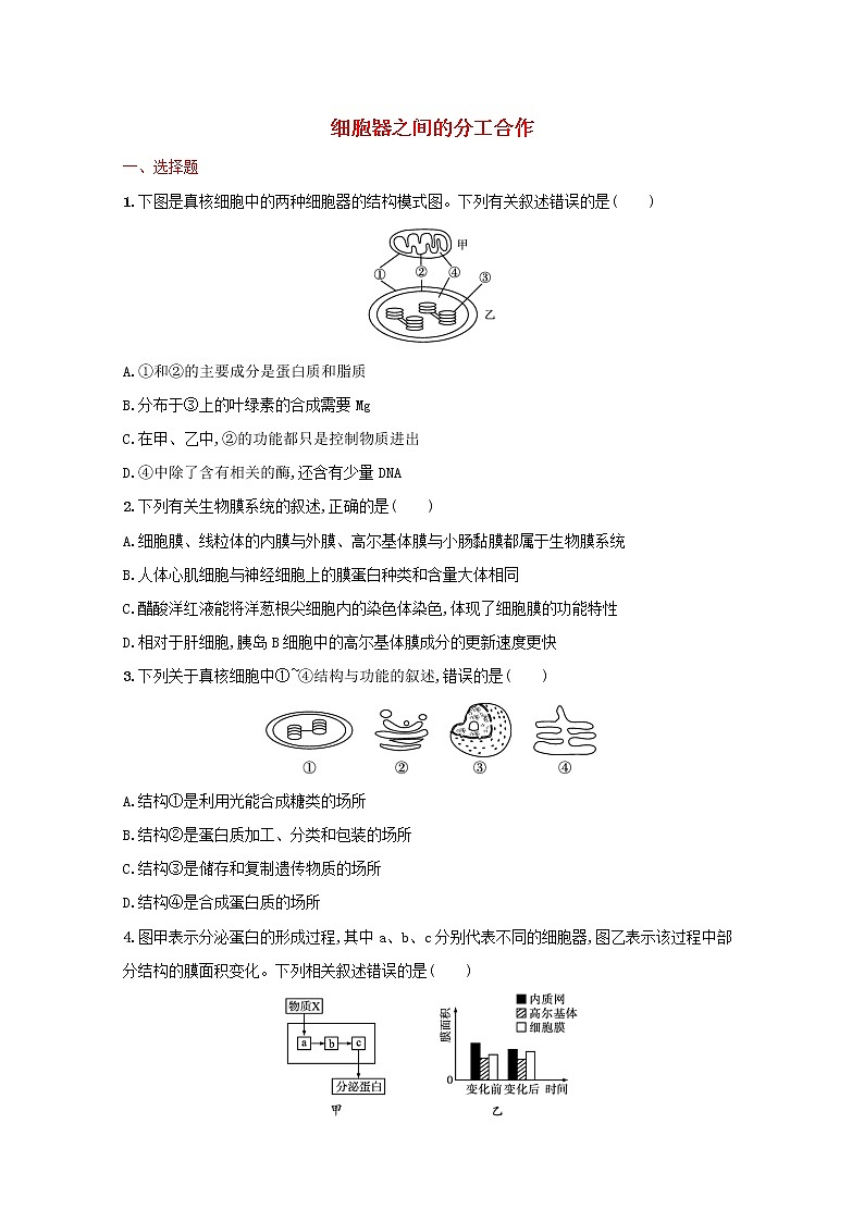 新教材高考生物一轮复习考点规范练6细胞器之间的分工合作含解析新人教版第1页