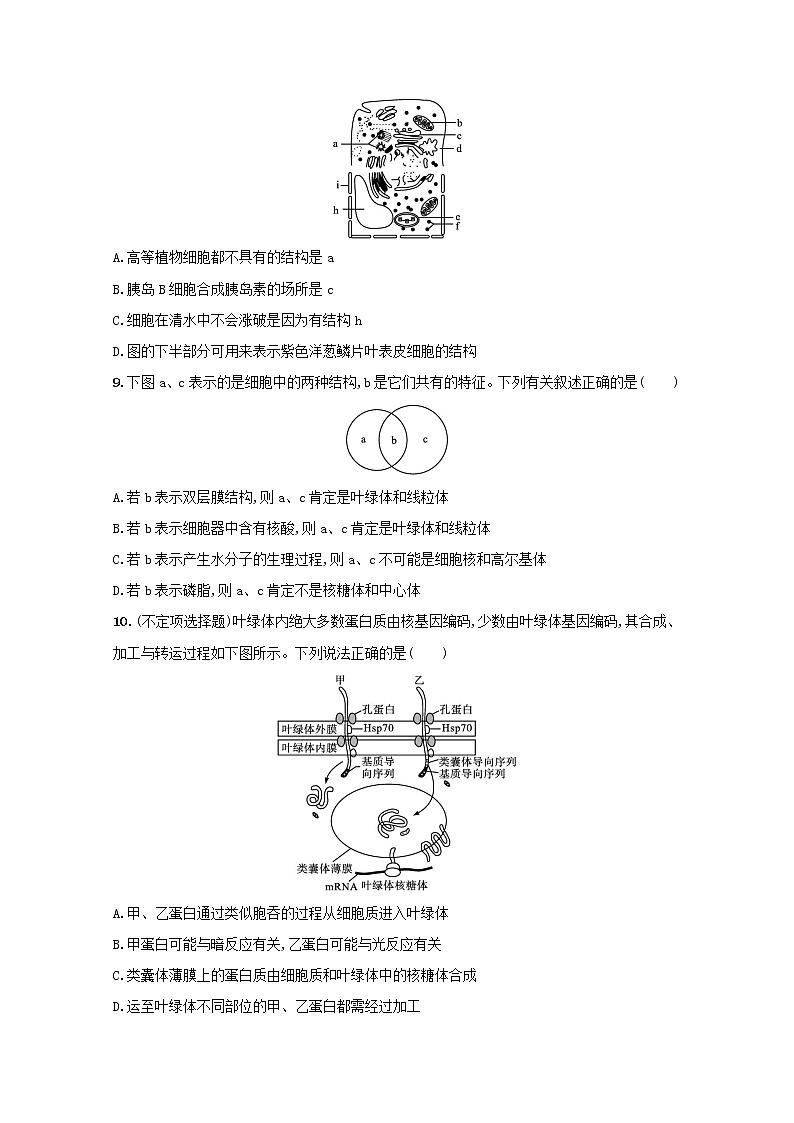 新教材高考生物一轮复习考点规范练6细胞器之间的分工合作含解析新人教版第3页