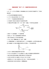 新教材高考生物一轮复习考点规范练9细胞的能量“货币”ATP细胞呼吸的原理和应用含解析新人教版