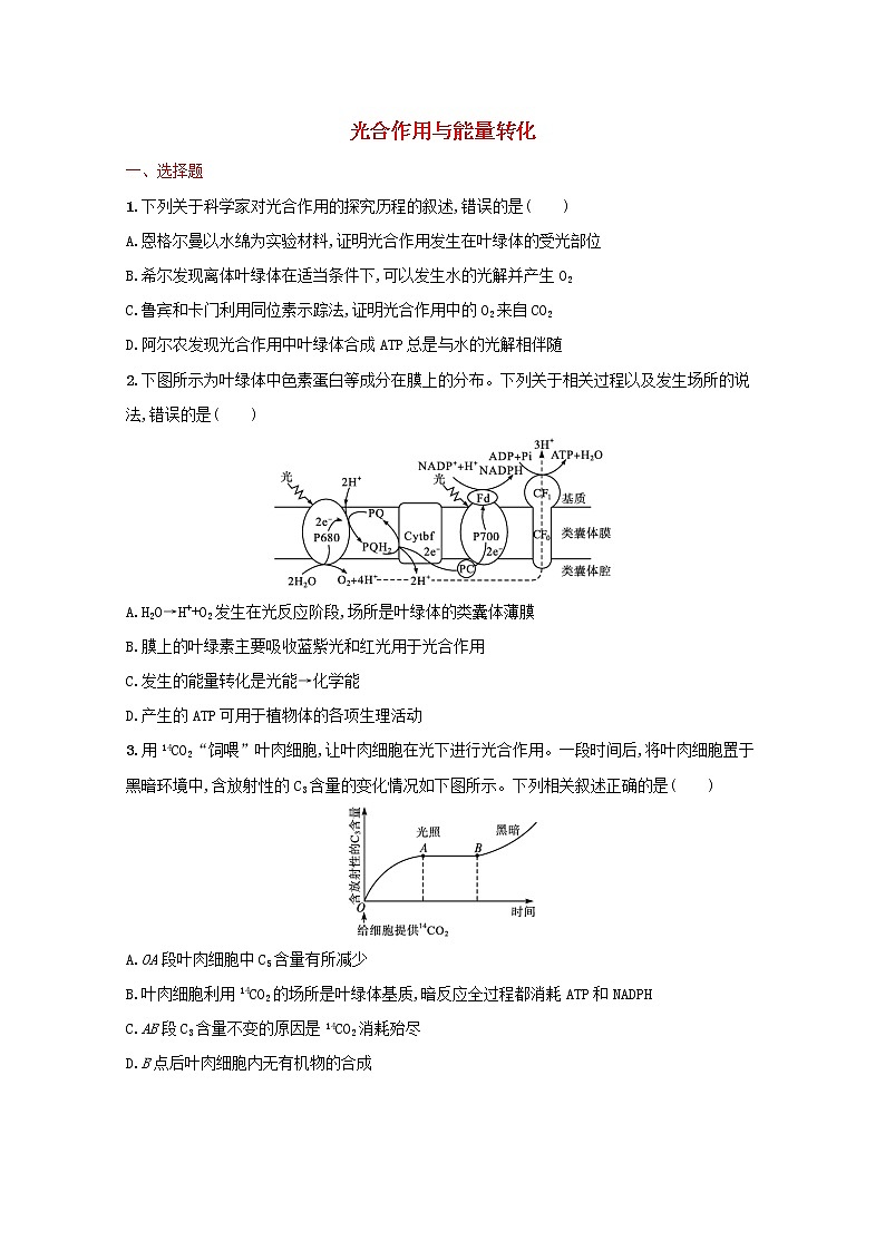 新教材高考生物一轮复习考点规范练10光合作用与能量转化含解析新人教版第1页