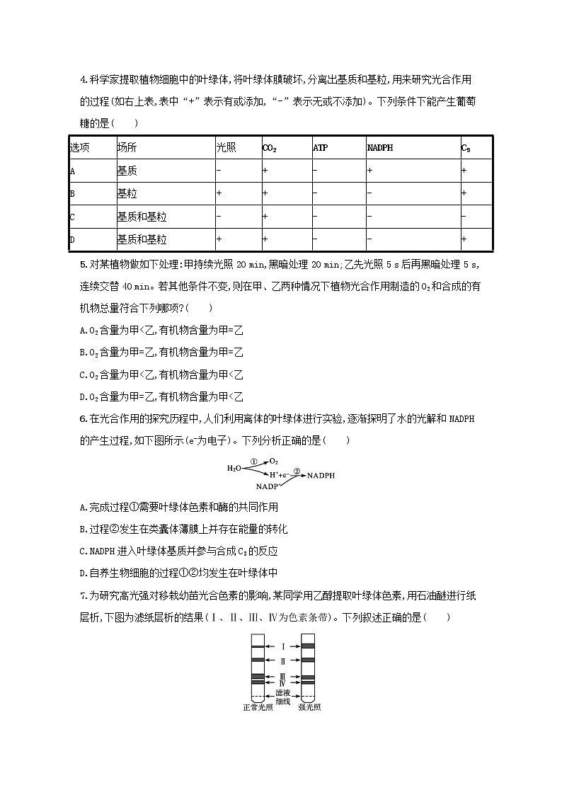新教材高考生物一轮复习考点规范练10光合作用与能量转化含解析新人教版第2页