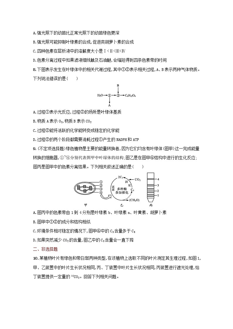 新教材高考生物一轮复习考点规范练10光合作用与能量转化含解析新人教版第3页