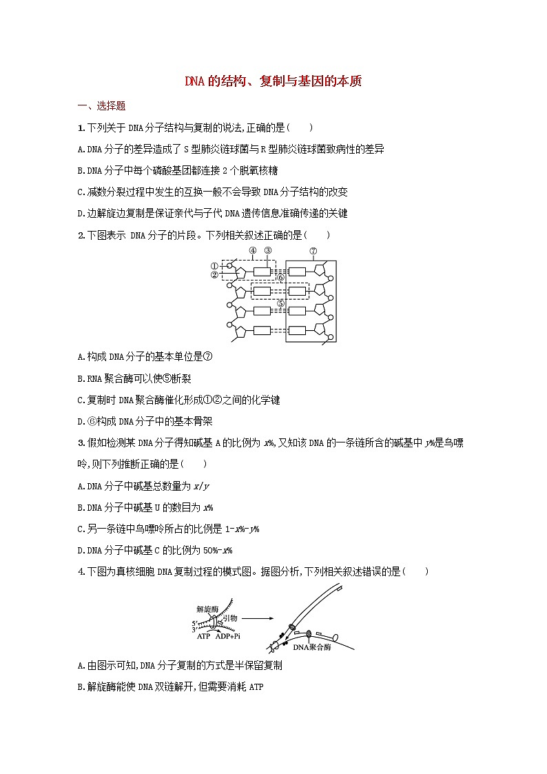 新教材高考生物一轮复习考点规范练19DNA的结构复制与基因的本质含解析新人教版第1页