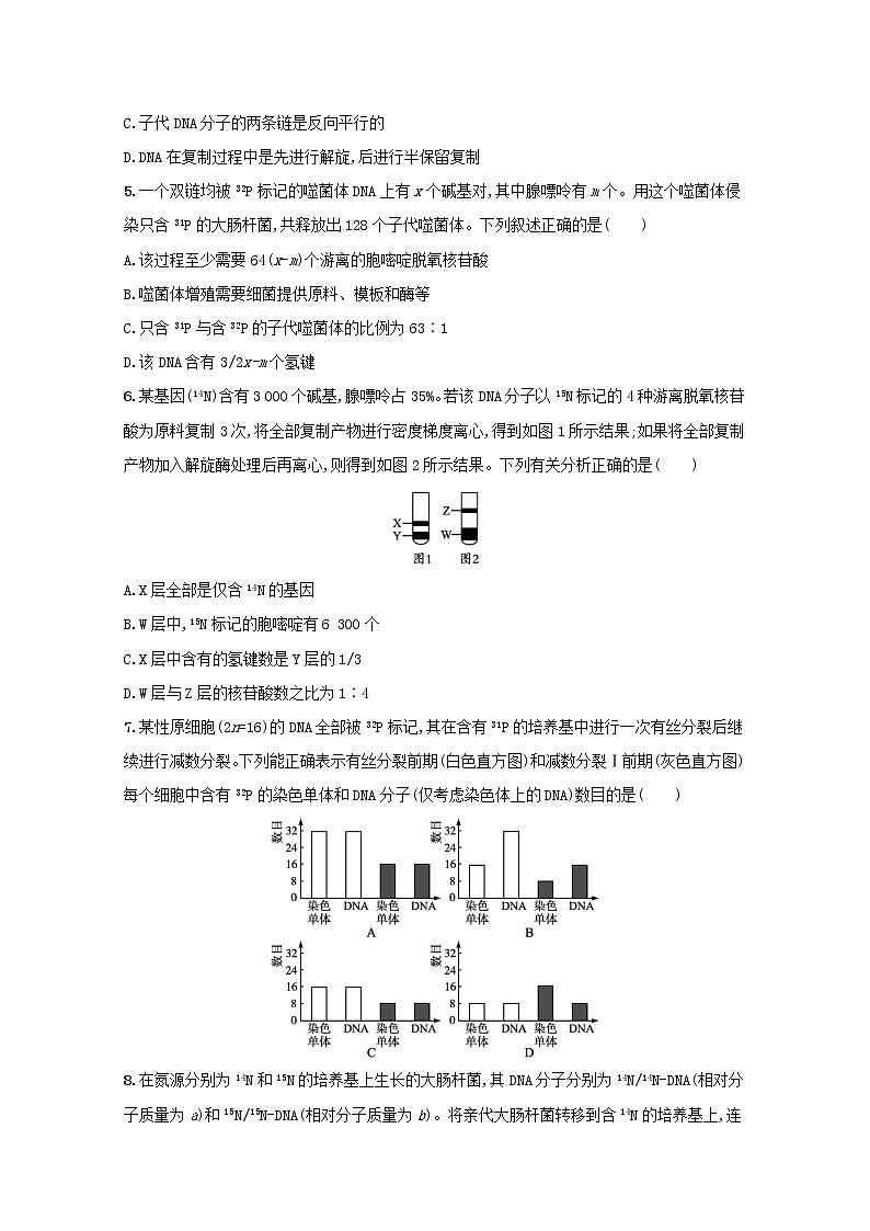 新教材高考生物一轮复习考点规范练19DNA的结构复制与基因的本质含解析新人教版第2页