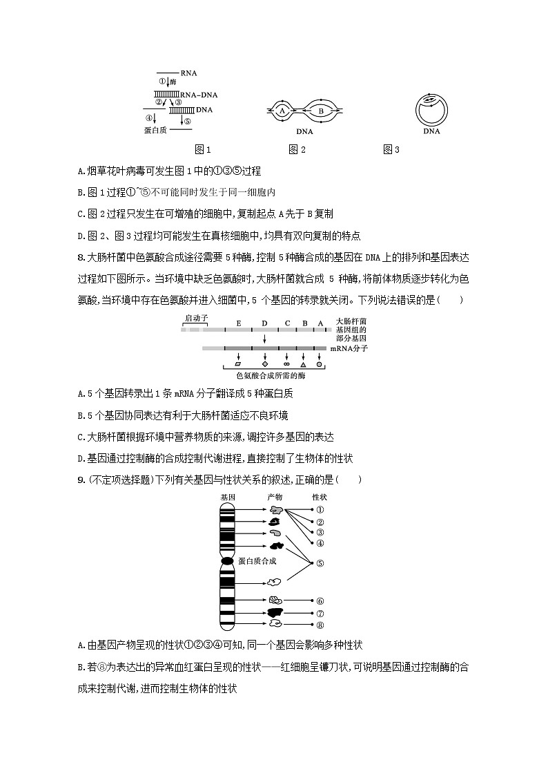 新教材高考生物一轮复习考点规范练20基因的表达含解析新人教版第3页