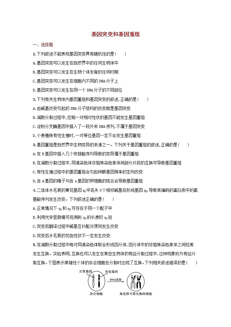 新教材高考生物一轮复习考点规范练21基因突变和基因重组含解析新人教版第1页