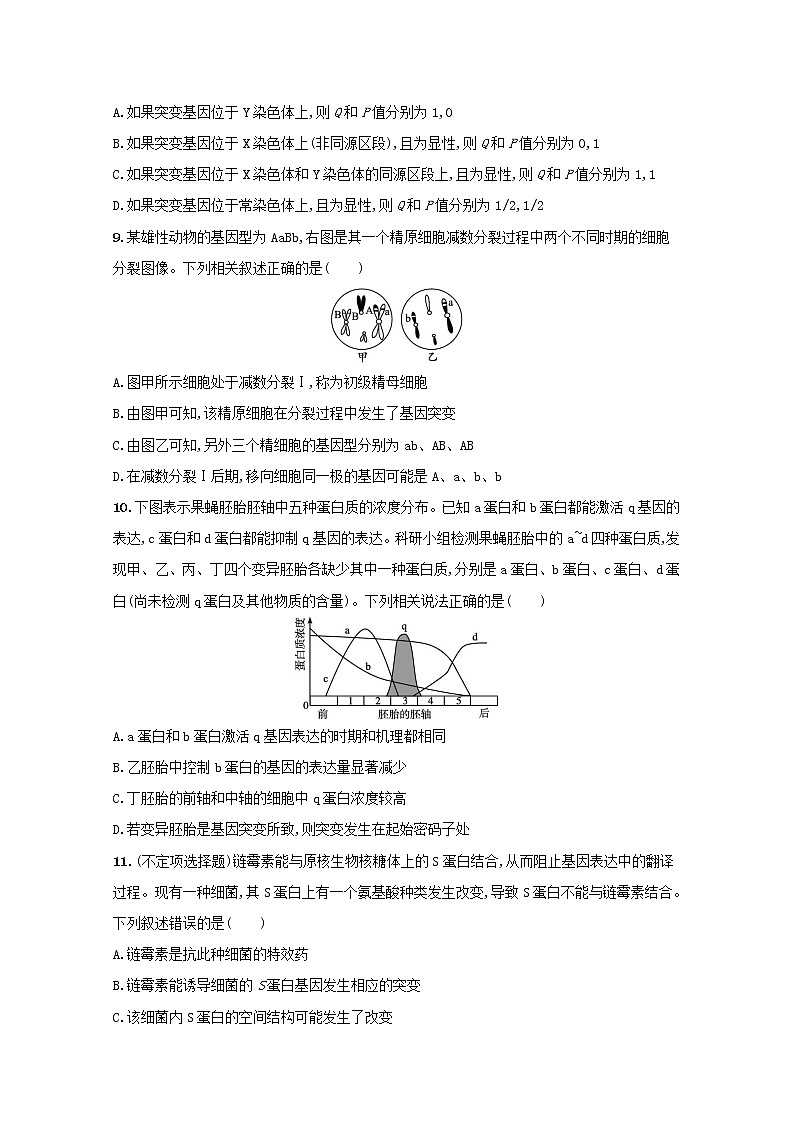 新教材高考生物一轮复习考点规范练21基因突变和基因重组含解析新人教版第3页