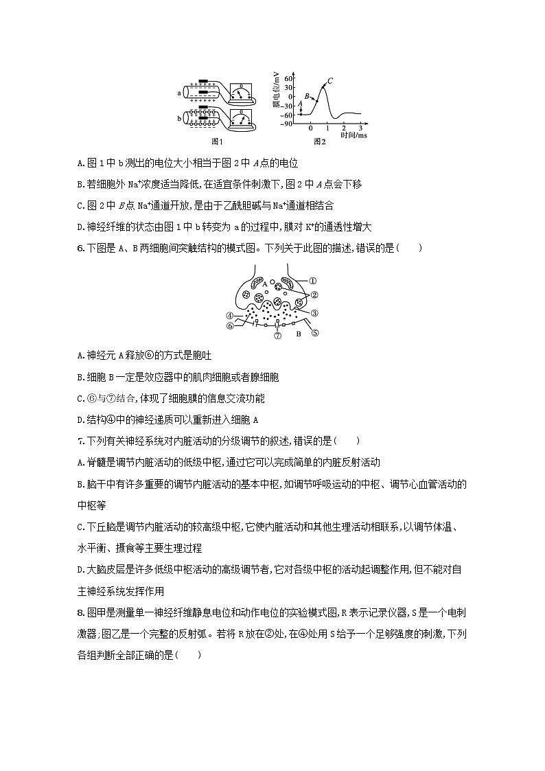 新教材高考生物一轮复习考点规范练25神经调节含解析新人教版02