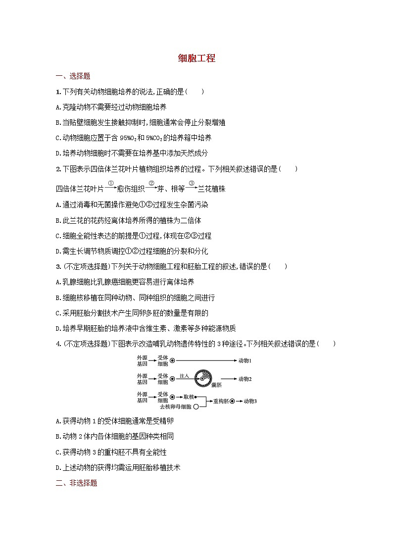 新教材高考生物一轮复习考点规范练36细胞工程含解析新人教版01
