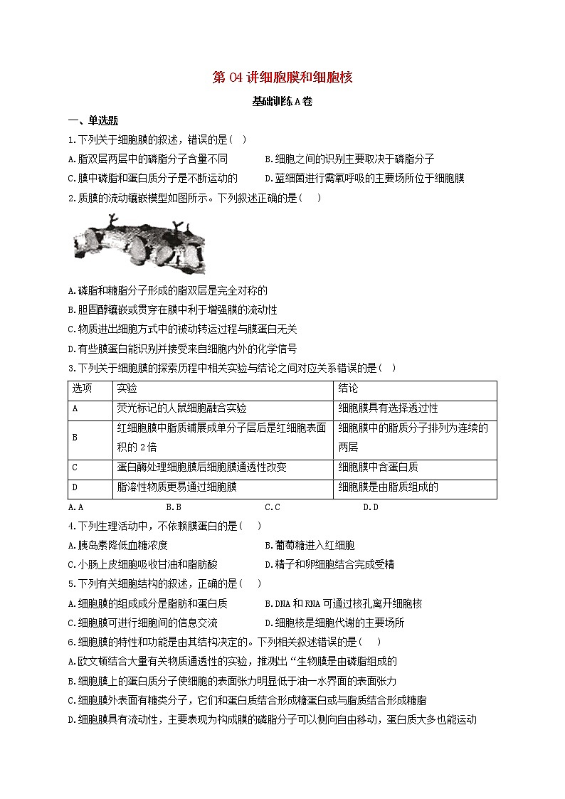 新教材高考生物一轮复习第二单元细胞的基本结构和物质的运输第04讲细胞膜和细胞核基础训练A卷含解析01