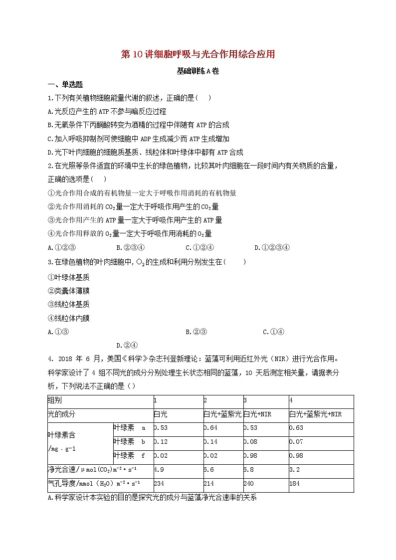 新教材高考生物一轮复习第三单元细胞的能量供应和利用第10讲细胞呼吸与光合作用综合应用基础训练A卷含解析01