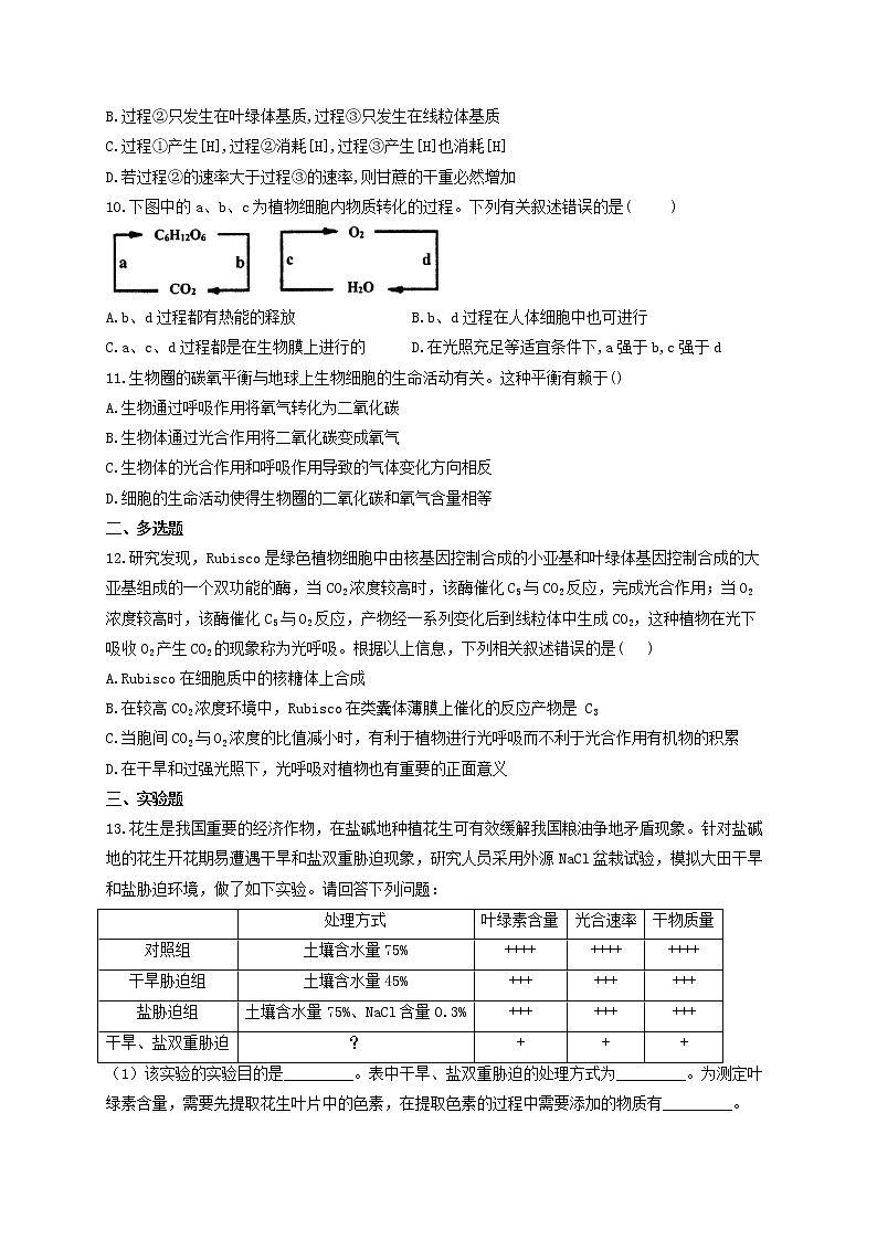 新教材高考生物一轮复习第三单元细胞的能量供应和利用第10讲细胞呼吸与光合作用综合应用基础训练A卷含解析03