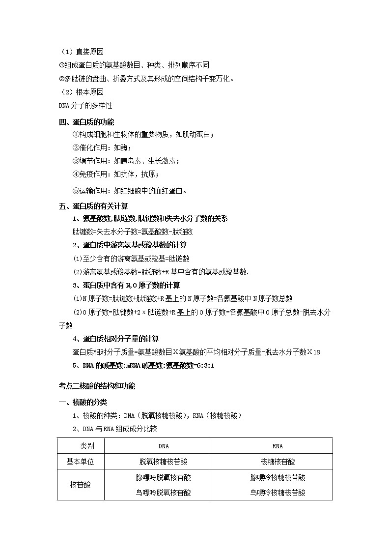 新教材高考生物一轮复习第一单元细胞的概述及分子组成第03讲蛋白质和核酸教案第2页