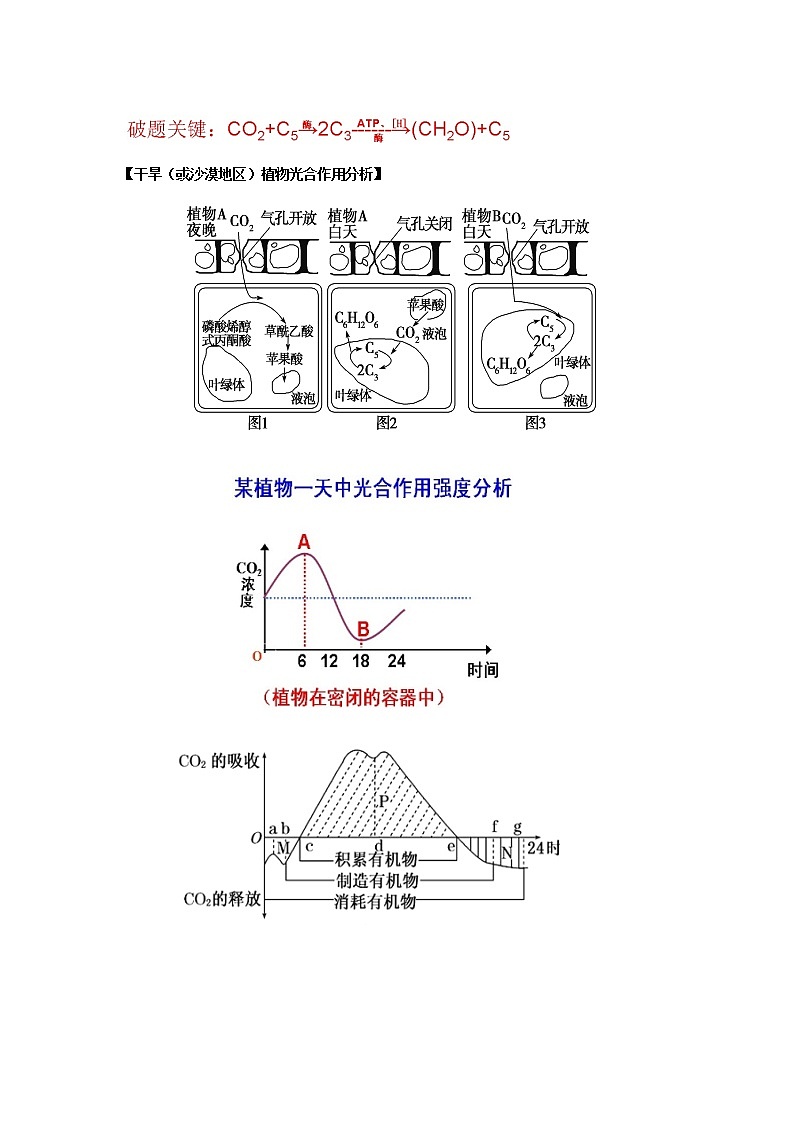 新教材高考生物一轮复习第三单元细胞的能量供应和利用第09讲光合作用第2课时教案02