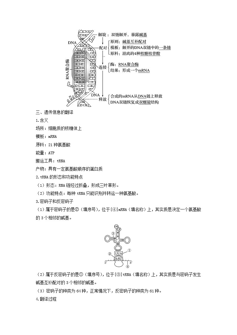 新教材高考生物一轮复习第六单元遗传的物质基础第19讲基因的表达教案第2页