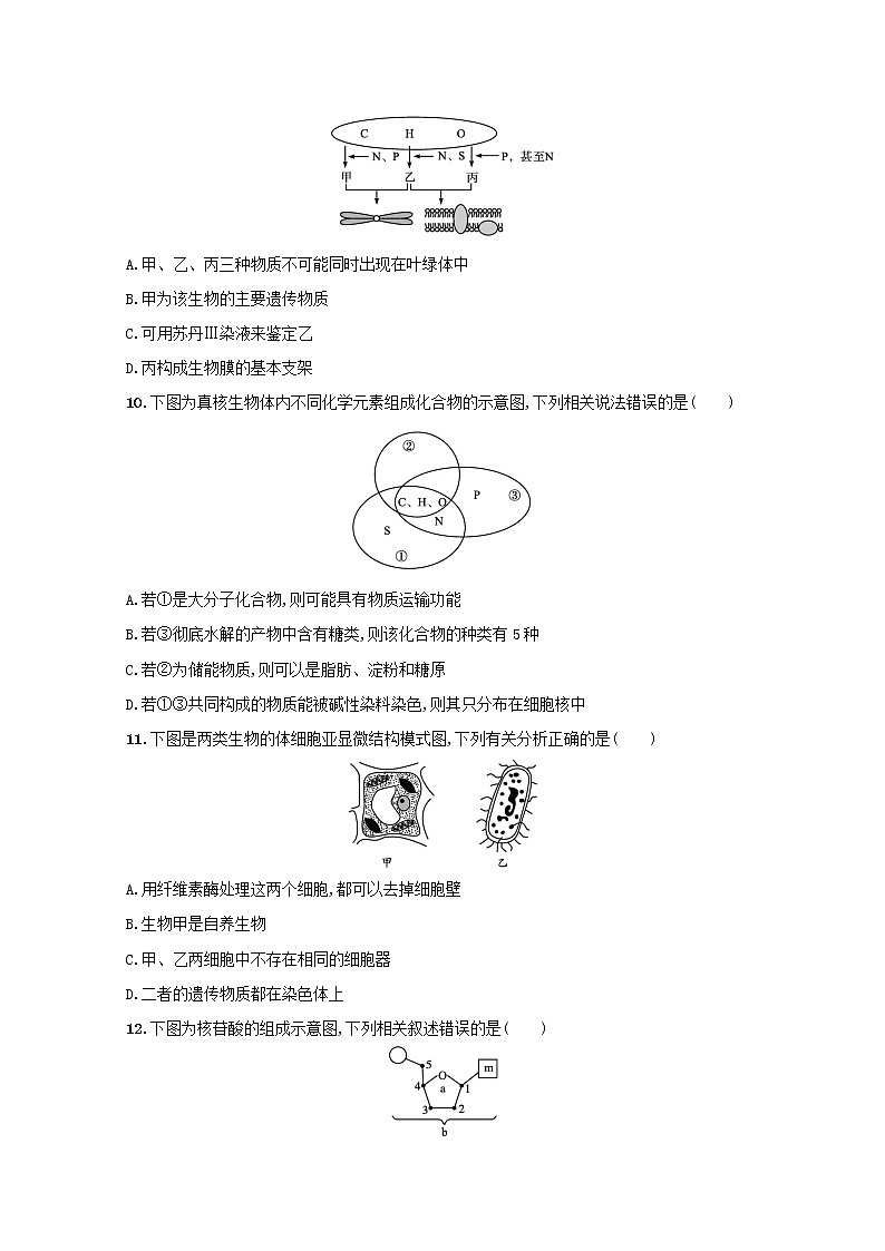 新教材高考生物一轮复习单元目标检测卷一走近细胞组成细胞的分子含解析新人教版03