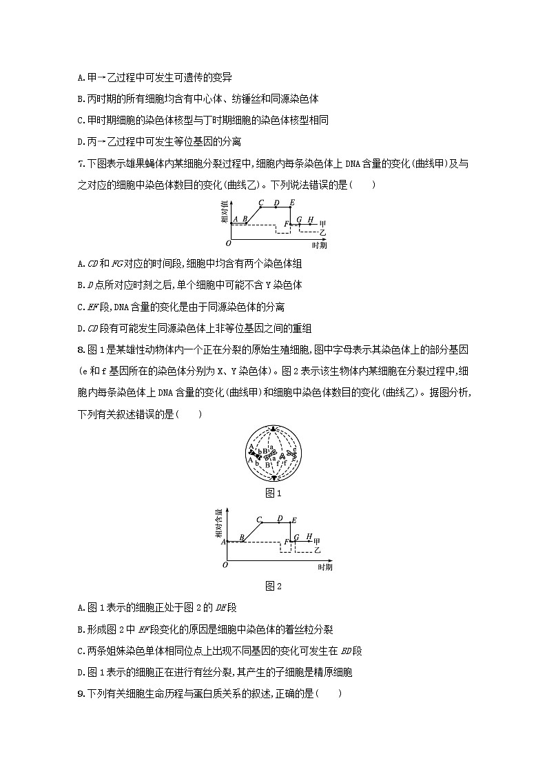 新教材高考生物一轮复习单元目标检测卷四细胞的生命历程含解析新人教版03