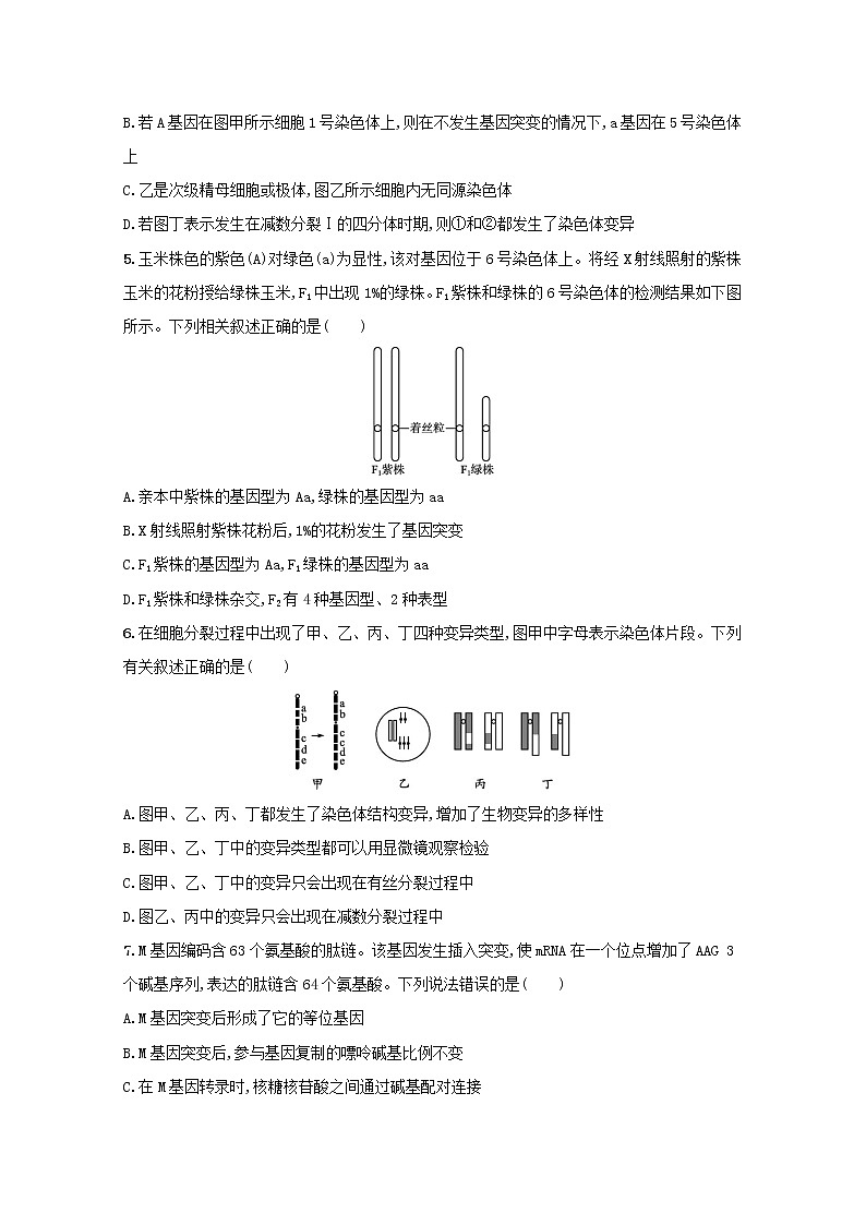 新教材高考生物一轮复习单元目标检测卷七生物的变异和进化含解析新人教版第2页