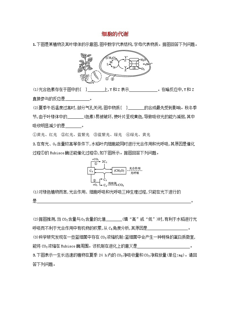新教材高考生物一轮复习大题专项练1细胞的代谢含解析新人教版第1页