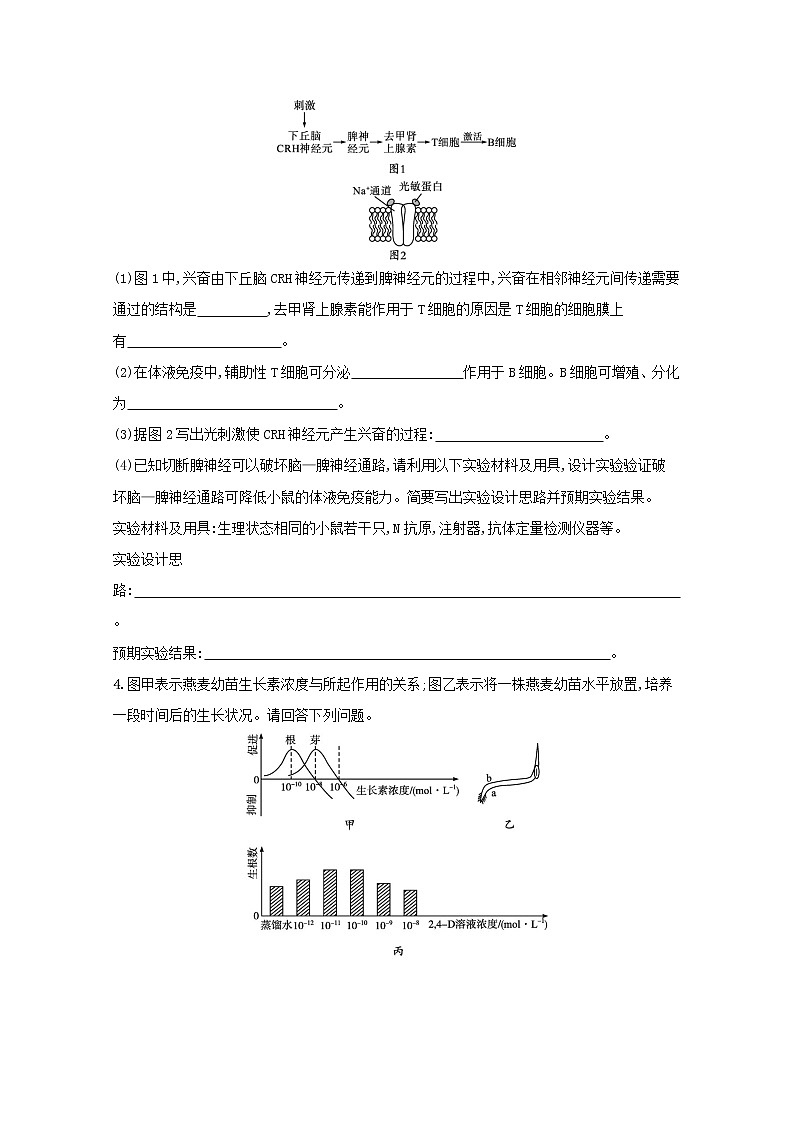 新教材高考生物一轮复习大题专项练3生命活动的调节含解析新人教版第2页