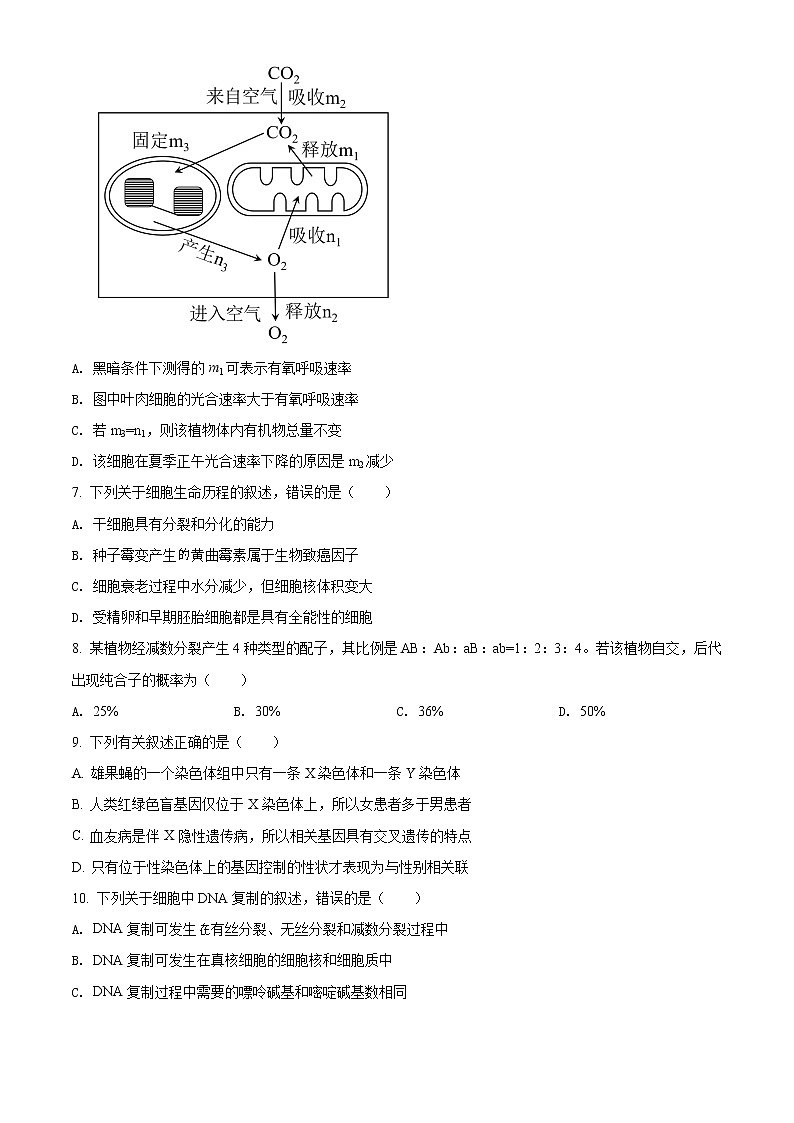 2021届新疆维吾尔自治区高三第一次诊断性测试生物试题02