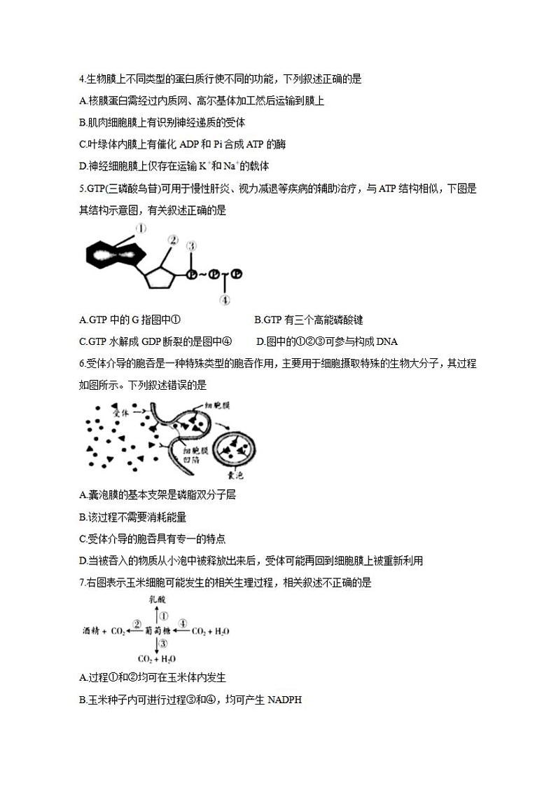 山西省吕梁市2021届高三上学期第一次模拟考试生物试题含答案02
