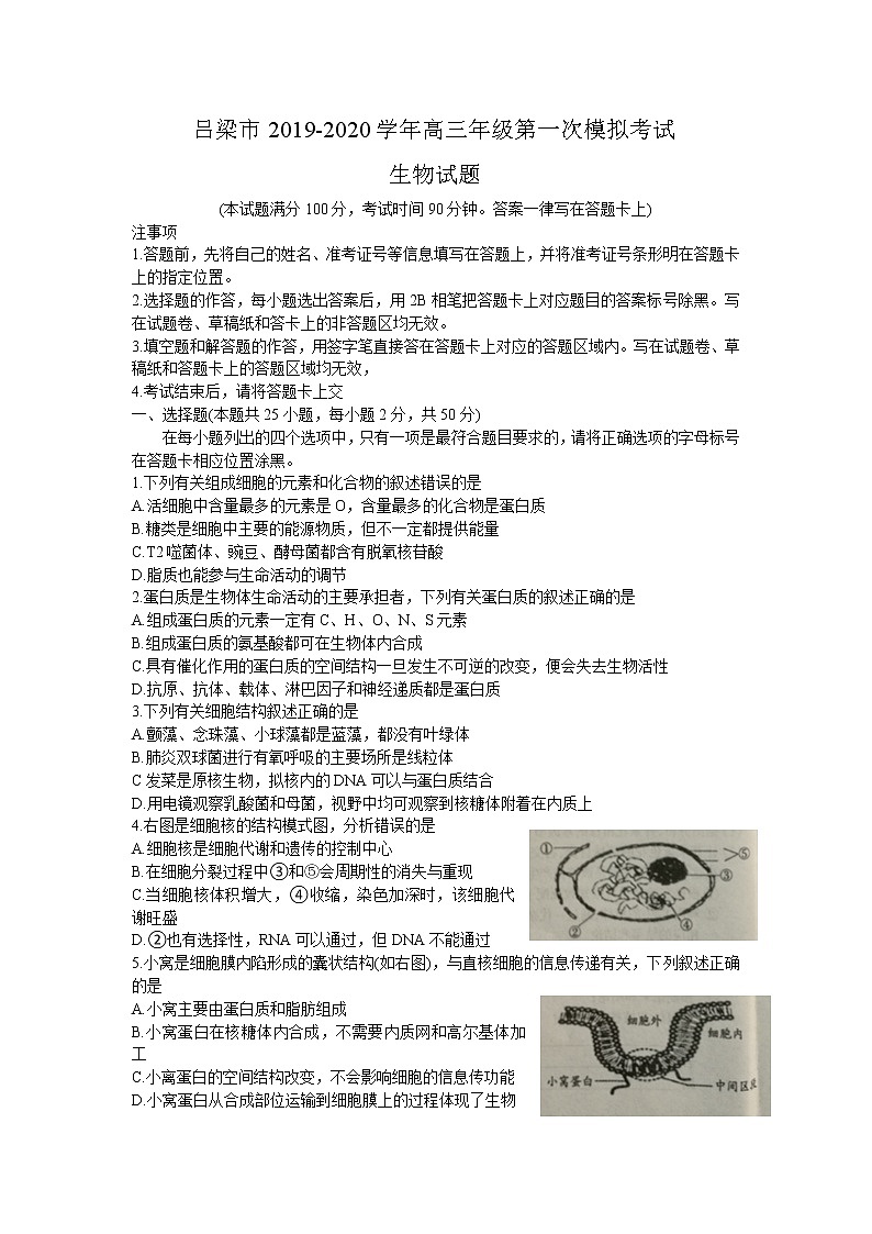 山西省吕梁市2020届高三上学期第一次模拟考试生物试题Word版含答案解析第1页