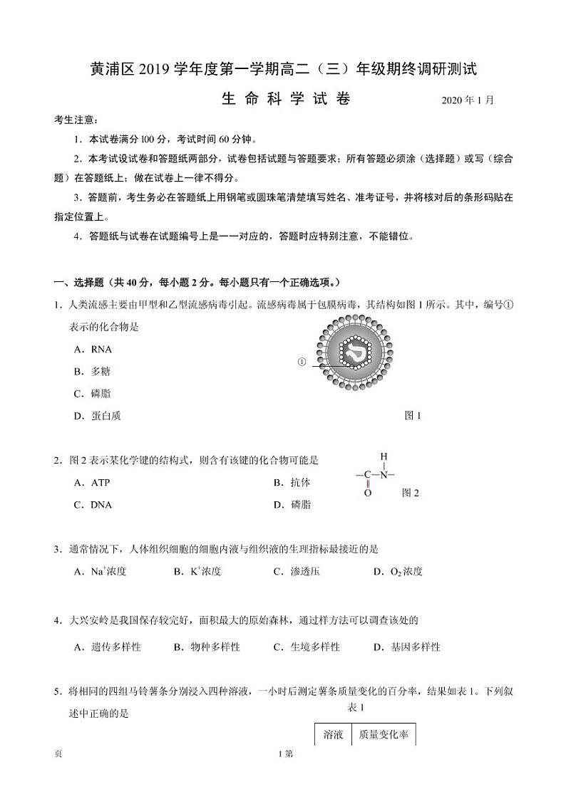2020届上海市黄浦区高三上学期期末调研测试生物试题（PDF版）01