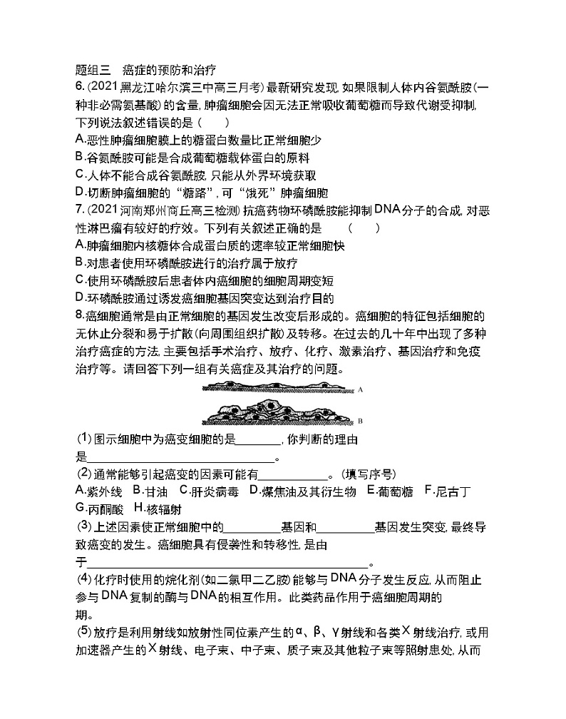 第4节细胞的癌变-2022版生物必修1 人教版（新课标） 同步练习 （Word含解析）02