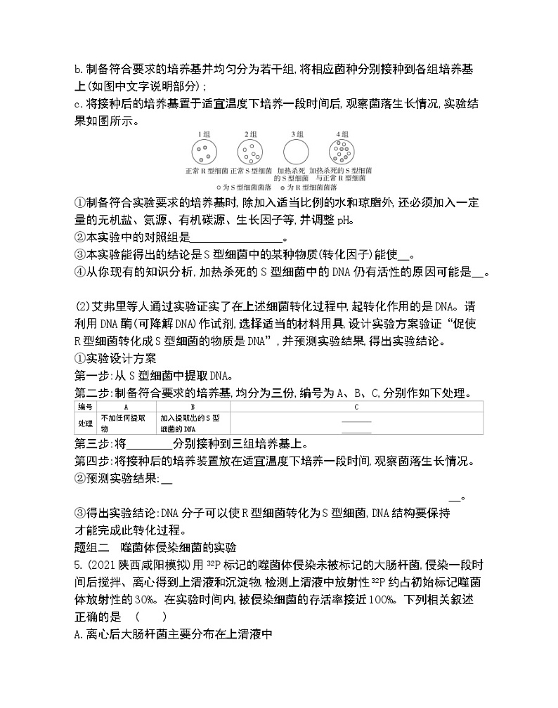 第1节DNA是主要的遗传物质-2022版生物必修2 人教版（新课标） 同步练习 （Word含解析）第2页