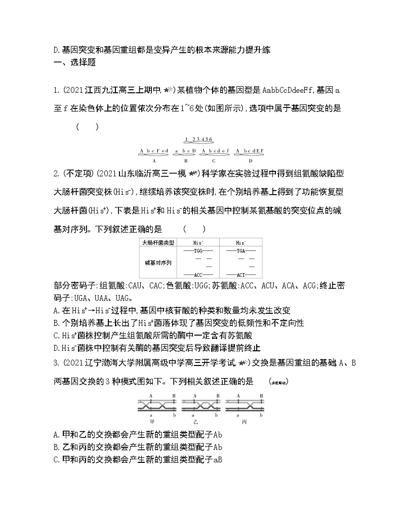 第1节基因突变和基因重组-2022版生物必修2 人教版（新课标） 同步练习 （Word含解析）03