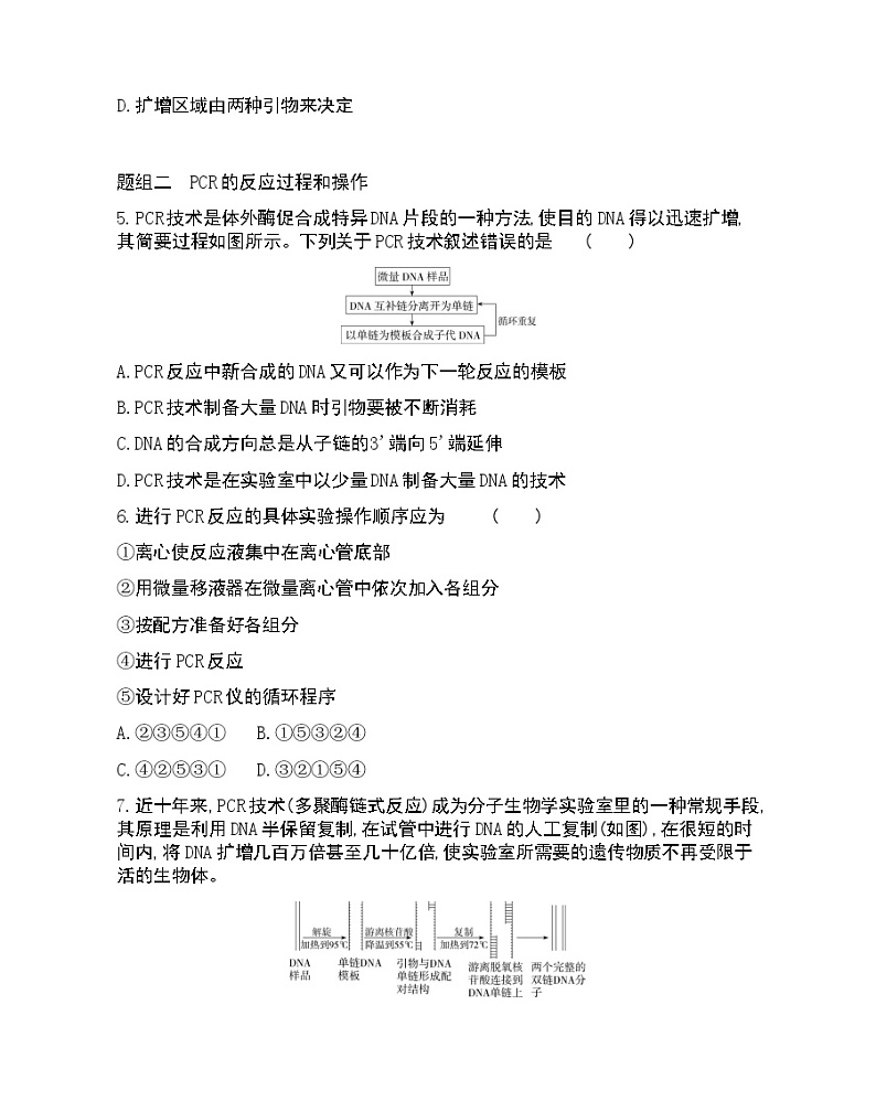 课题2 多聚酶链式反应扩增DNA片段-2022版生物选修1 人教版（新课标） 同步练习 （Word含解析）02