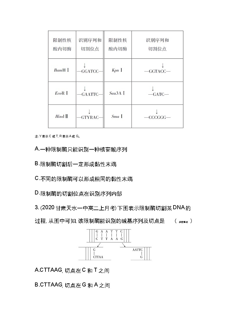 1.1　DNA重组技术的基本工具-2022版生物选修3 人教版（新课标） 同步练习 （Word含解析）02