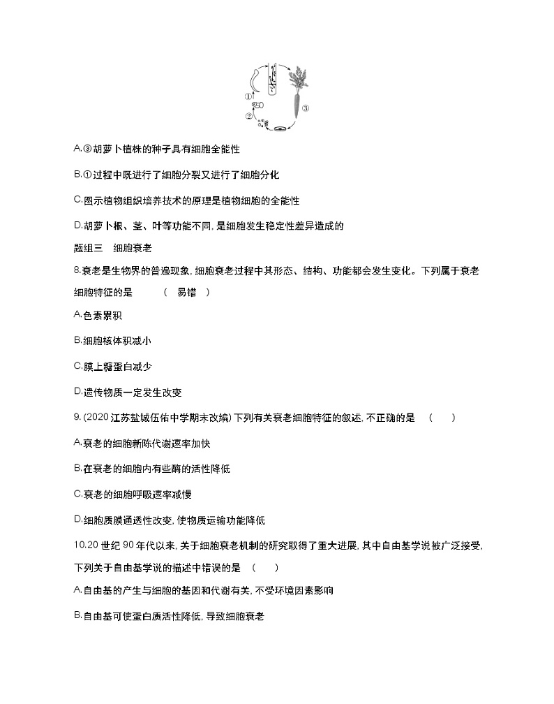 第二节　细胞分化、衰老和死亡-2022版生物必修第一册 苏教版（2019） 同步练习 （Word含解析）03